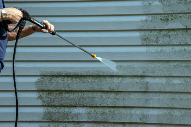 Best Driveway Pressure Washing  in Milmay, NJ