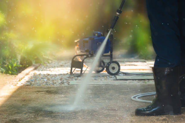 Best Animal Enclosure Cleaning  in Milmay, NJ